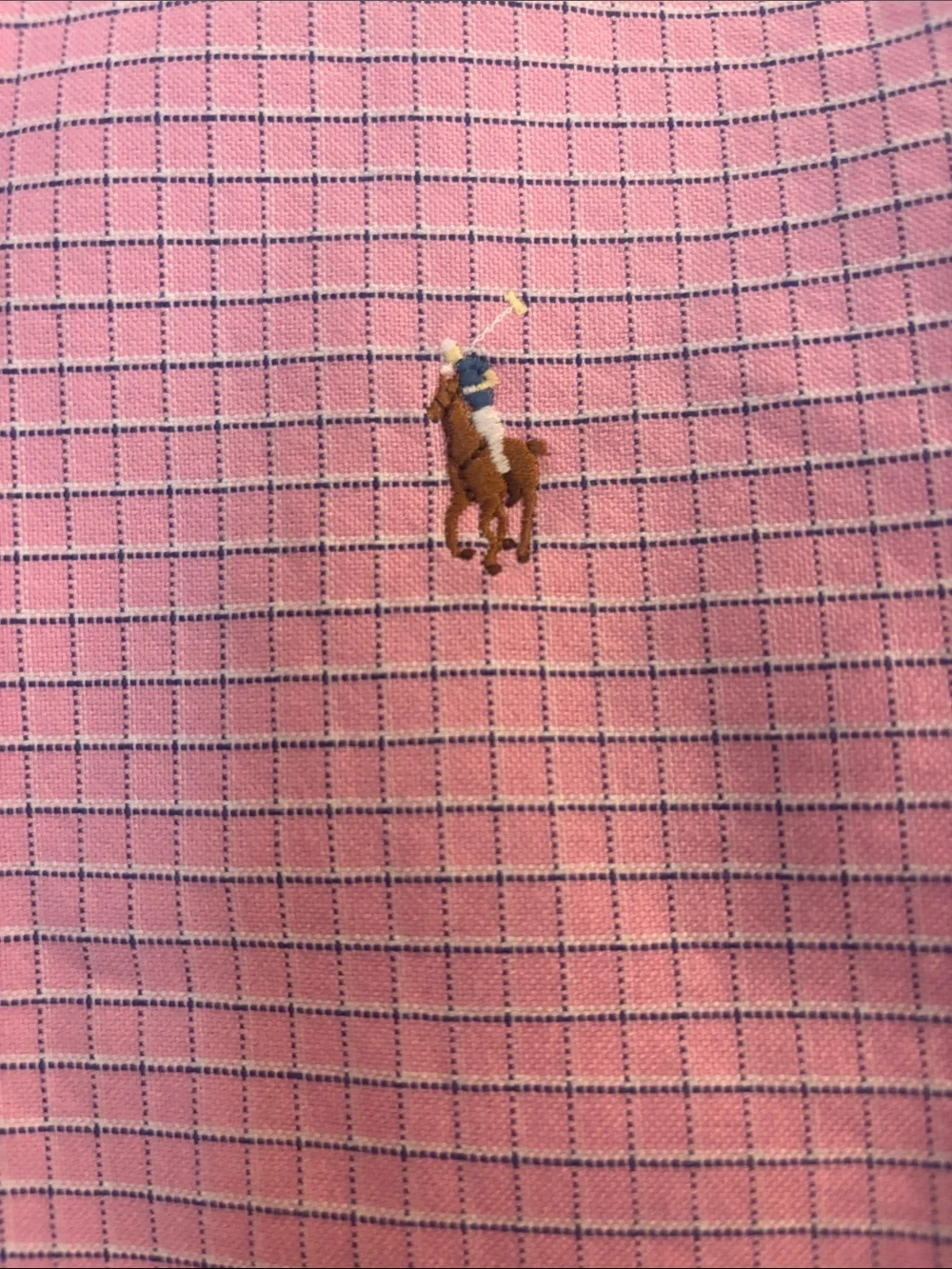 Polo by Ralph Lauren Pink Button-Down Shirt
